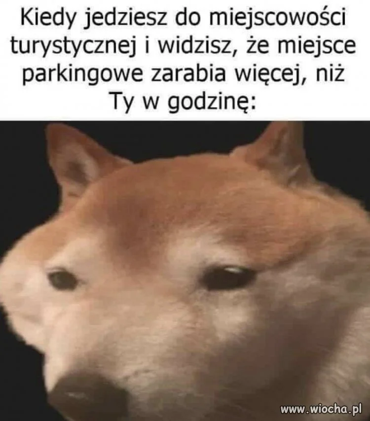Kiedy miejsce parkingowe zarabia więcej od Ciebie