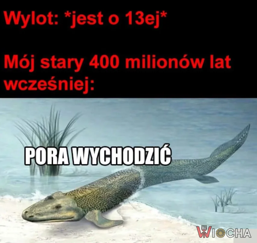 Pora wychodzić
