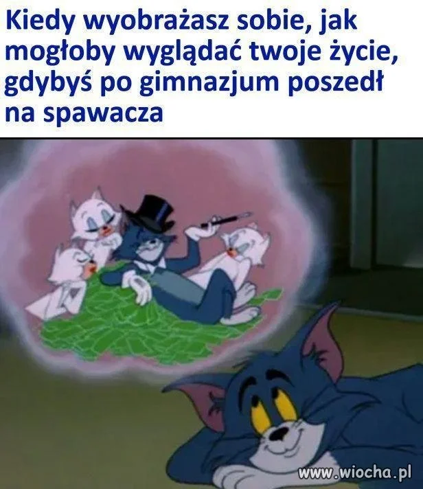Ależ to by było