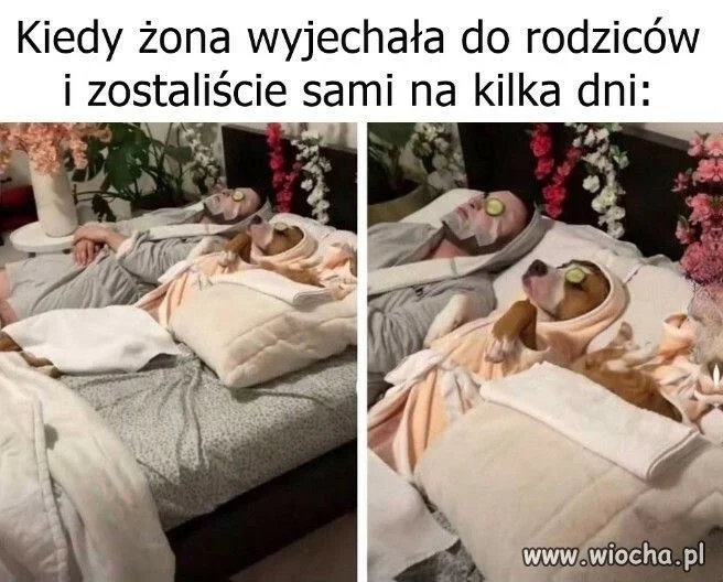 Teraz Panowie mają relaks