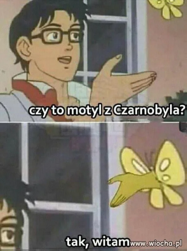 Przynajmniej jest grzeczny
