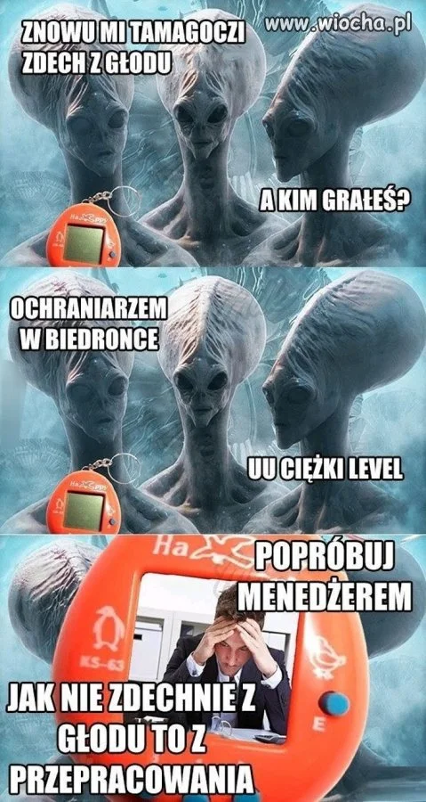 A może tak to wszystko wygląda?