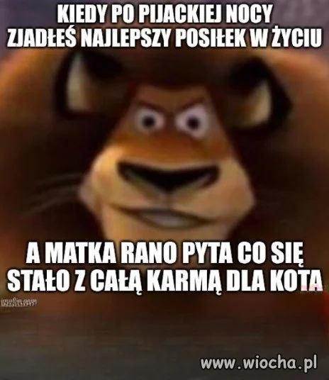 Niczego nie żałuję