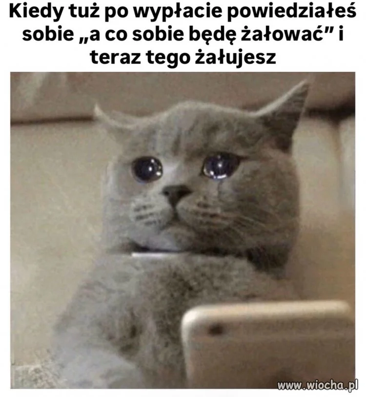 No trochę żałuję
