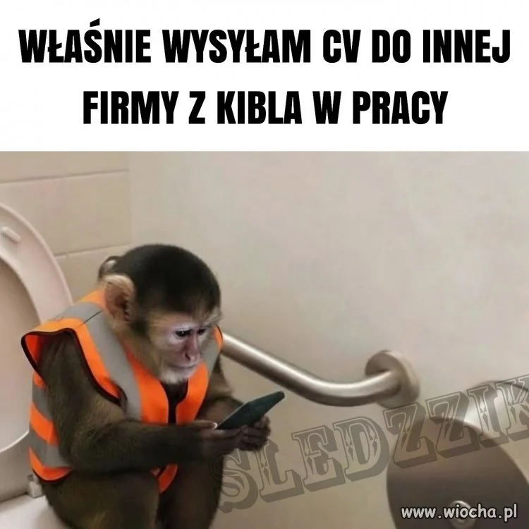 Właśnie wysyłam cv do innej firmy