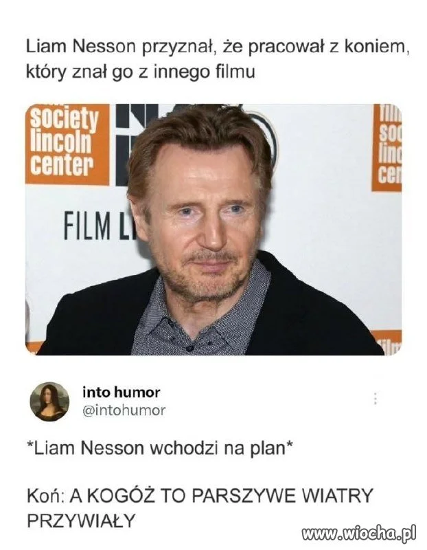 Z koniem też się można zaprzyjaźnić