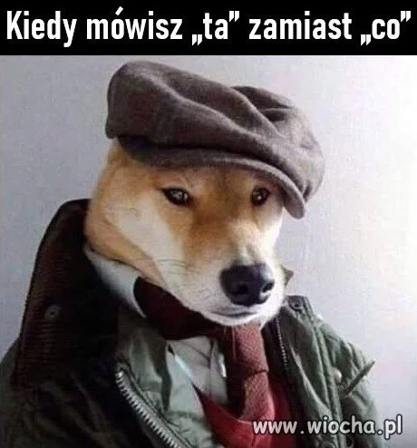 Od razu szyk i klasa