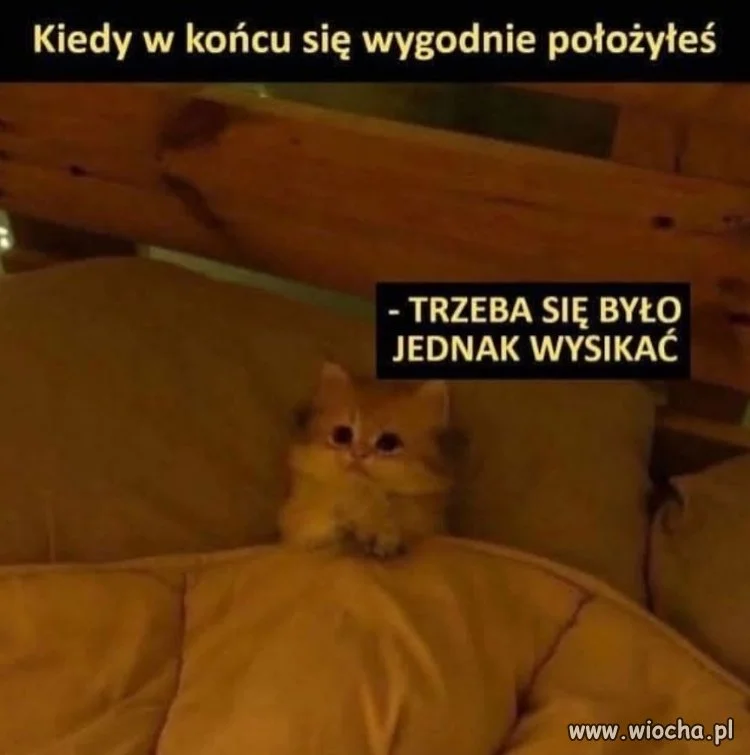 Trzeba było się jednak wysikać