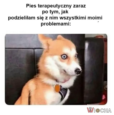 Ty tak na serio? Masakra