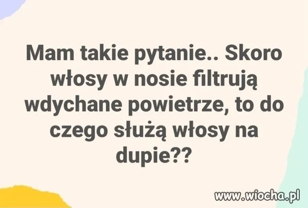 Oto jest pytanie 