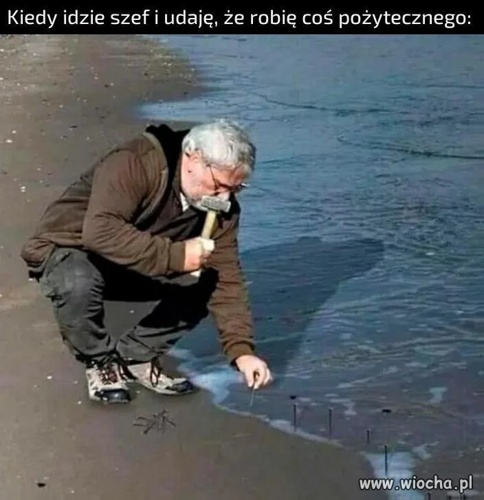 Pracownik miesiąca