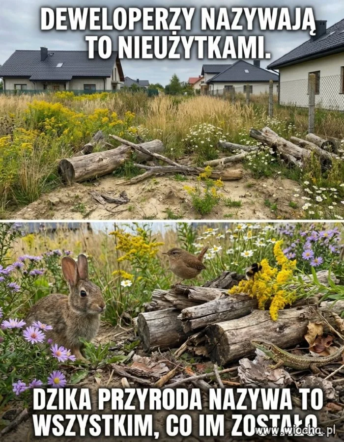 Deweloperzy kontra natura