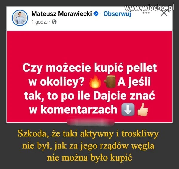 Pinokio, mówi dzień dobry 
