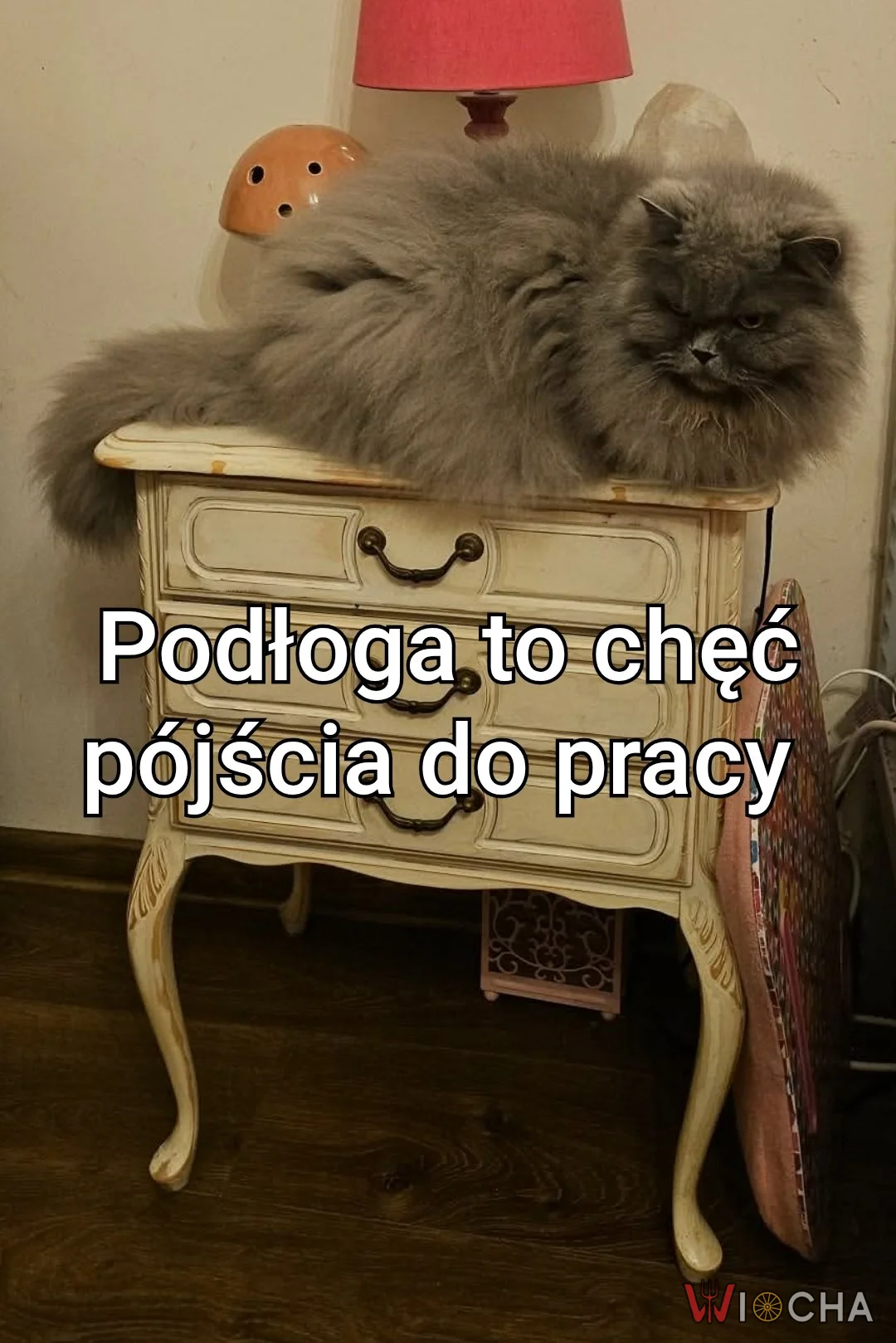 Brak ambicji