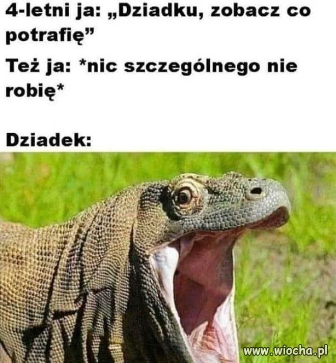 Wymagania nie były wysokie