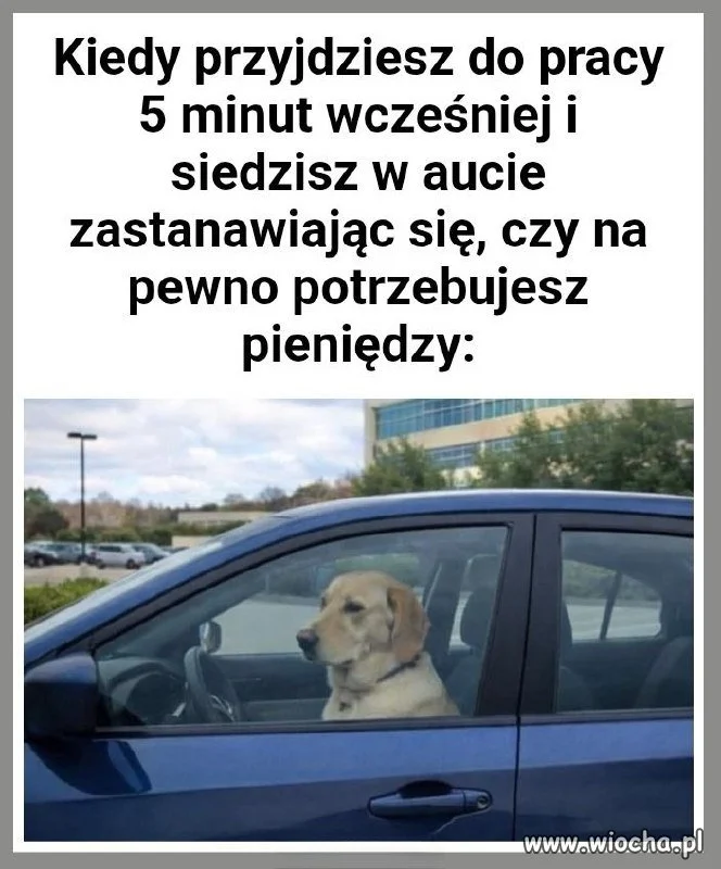 Czy na pewno potrzebuję pieniędzy?