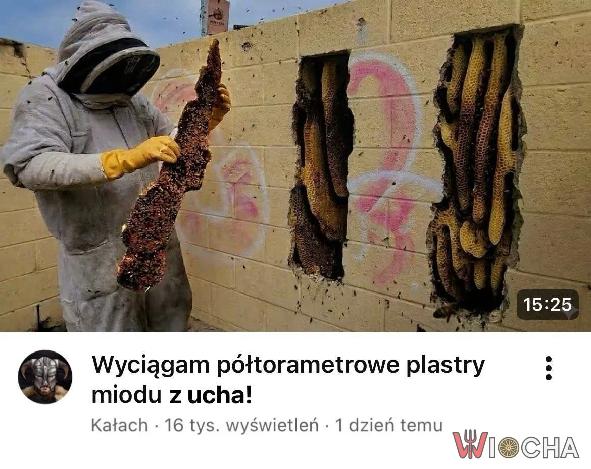 Całkiem sporo miodu
