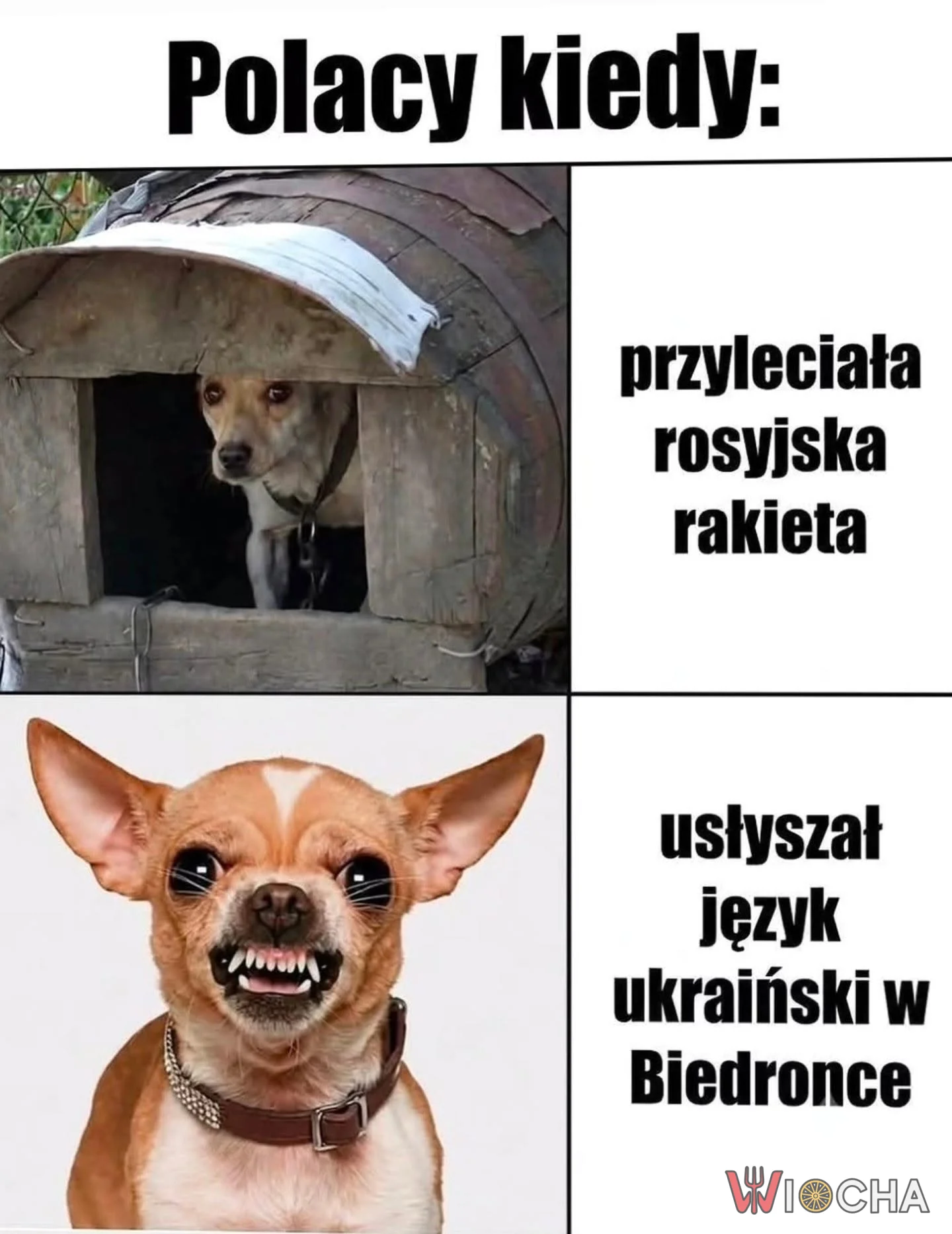 Wszystko na opak