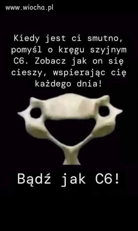 Zobacz, jak C6 cieszy się życiem!