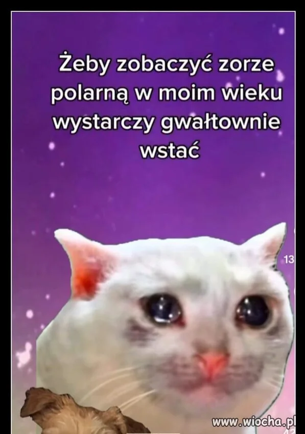 I się pod tym mogę podpisać 