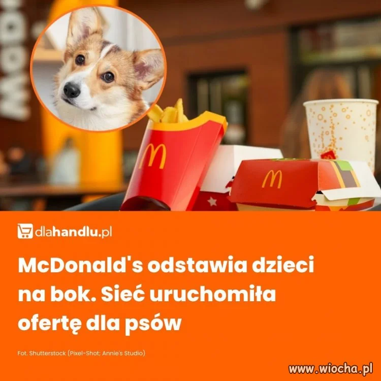 McDonald?s we Francji wprowadził do oferty zestaw Happy Doggy, czyli pierwszą w historii sieci kolekcję zabawek zaprojektowanych specjalnie dla psów