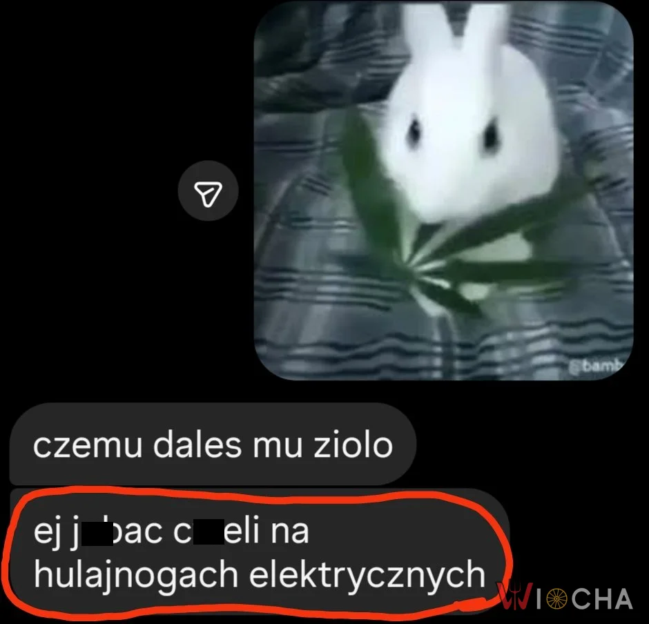 Niechęć do hulajek elektrycznych trwa