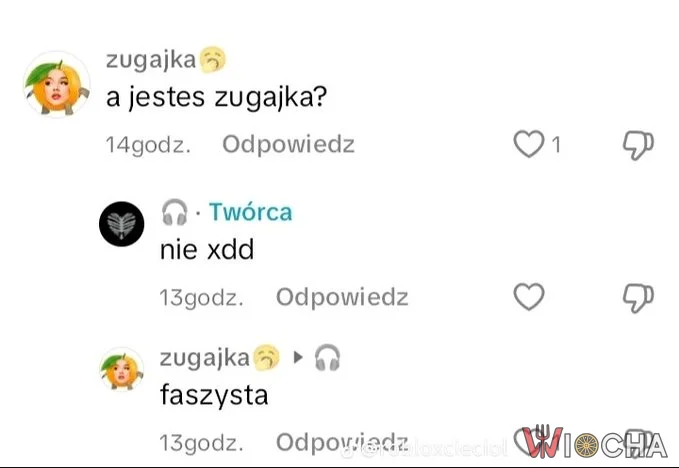 Nie lubisz Julii Żugaj - jestesteś faszystą