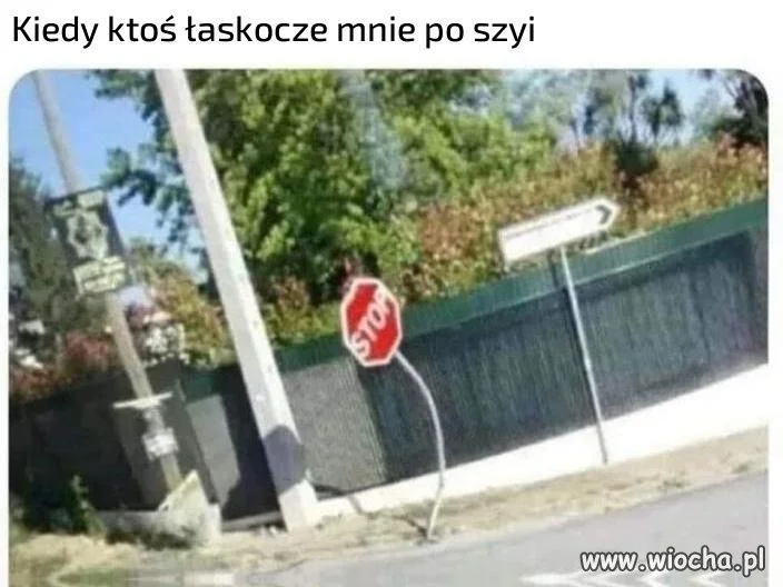 Aaa tylko nie giligili