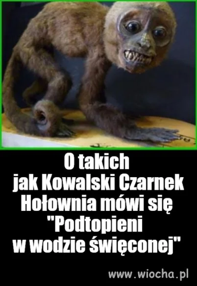 Kaprawym okiem ateisty patrząc ...