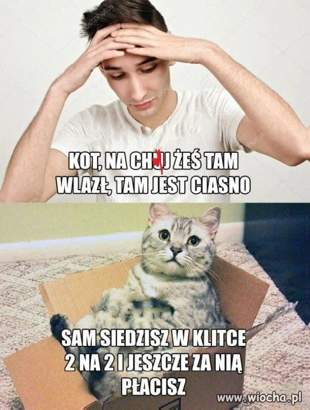 Nikt tak cię nie oceni jak twoje własne zwierzę