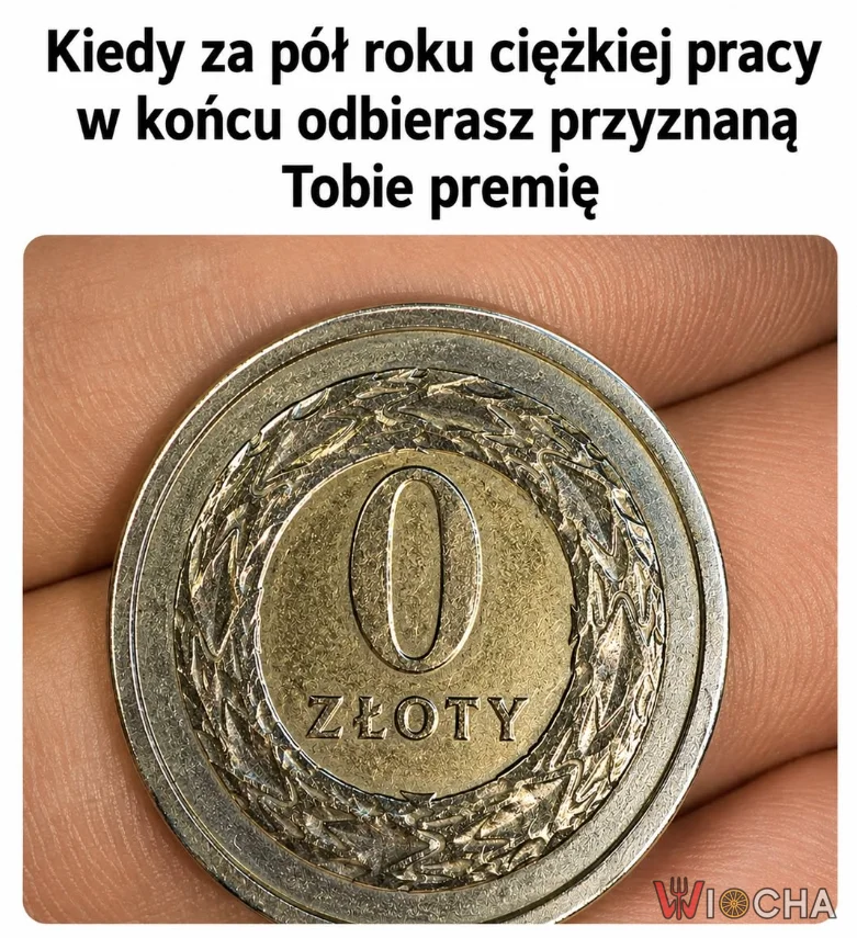 Premia roku
