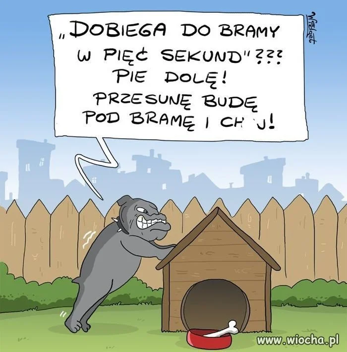 Trochę humoru 