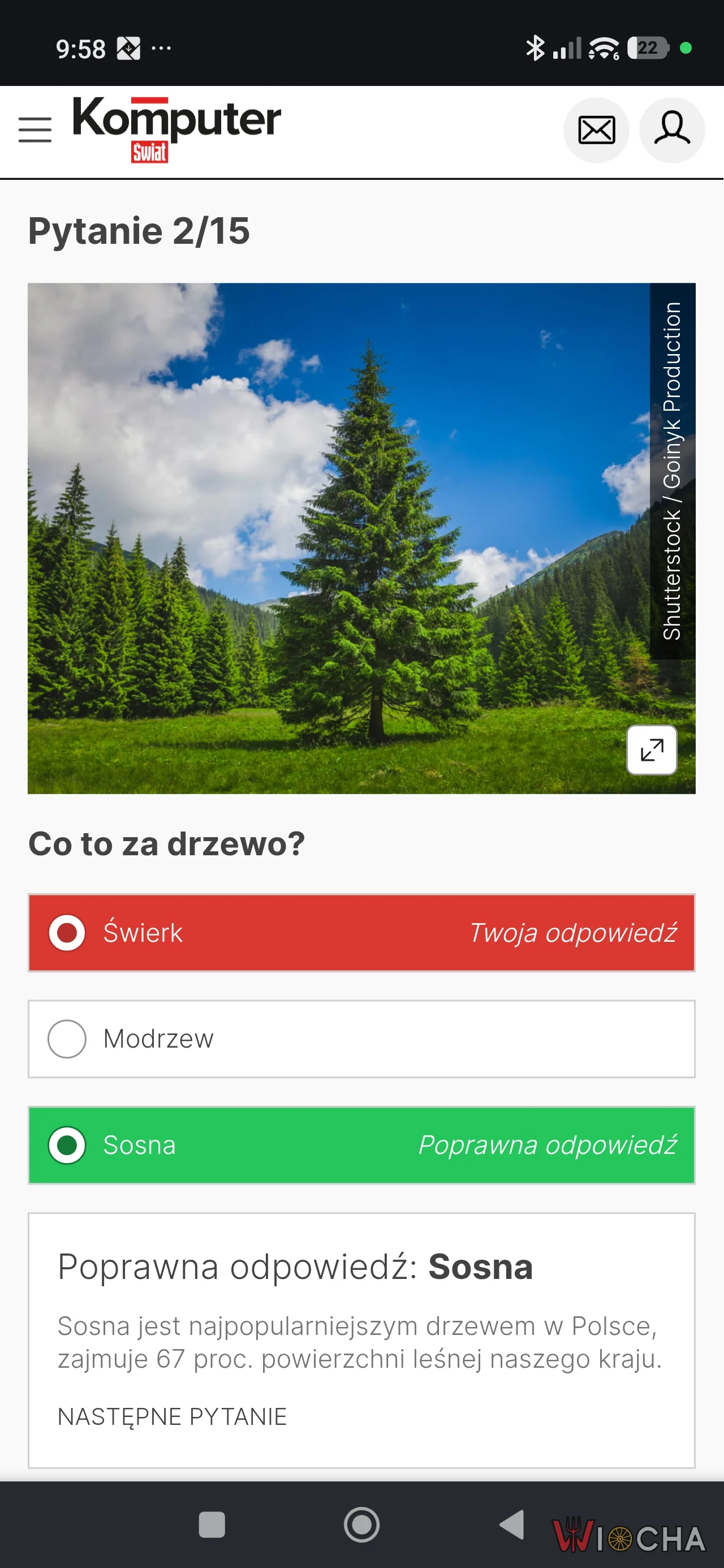 Redaktury w formie
