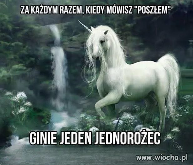 Za każdym razem!