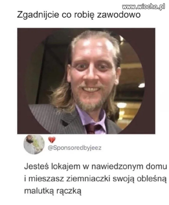 Zawód: Specjalista od absurdów