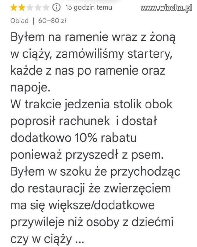 Dzieci czy zwierzęta? Rodzinne dylematy