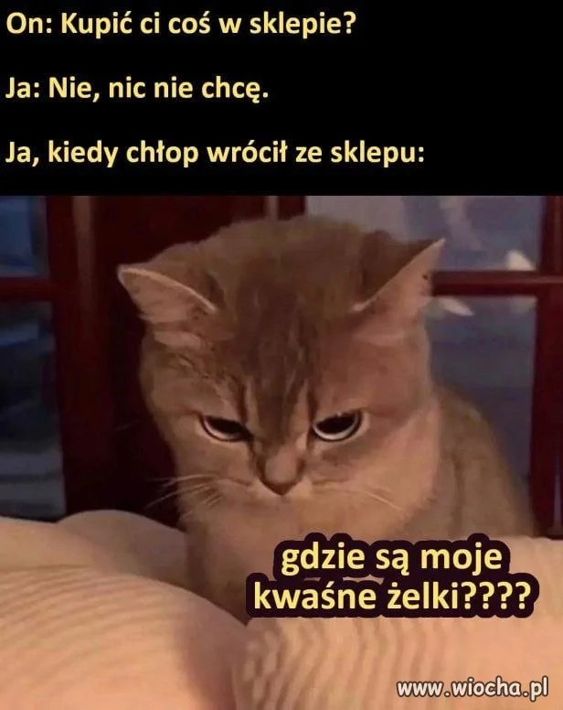Ja na nic nie mam ochoty
