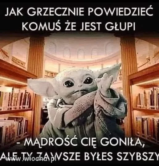 Dyplomacja level master