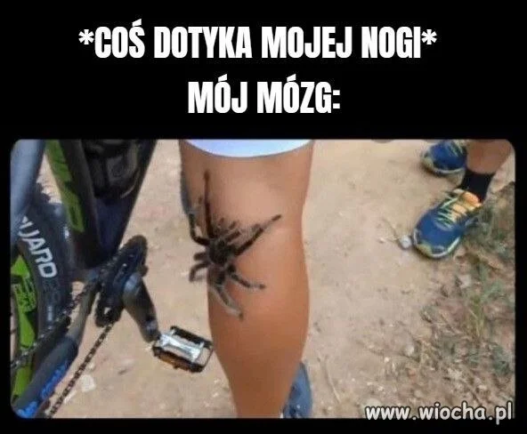 Reakcja automatyczna