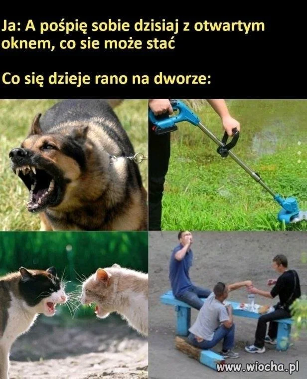 Typowe weekendowe poranki