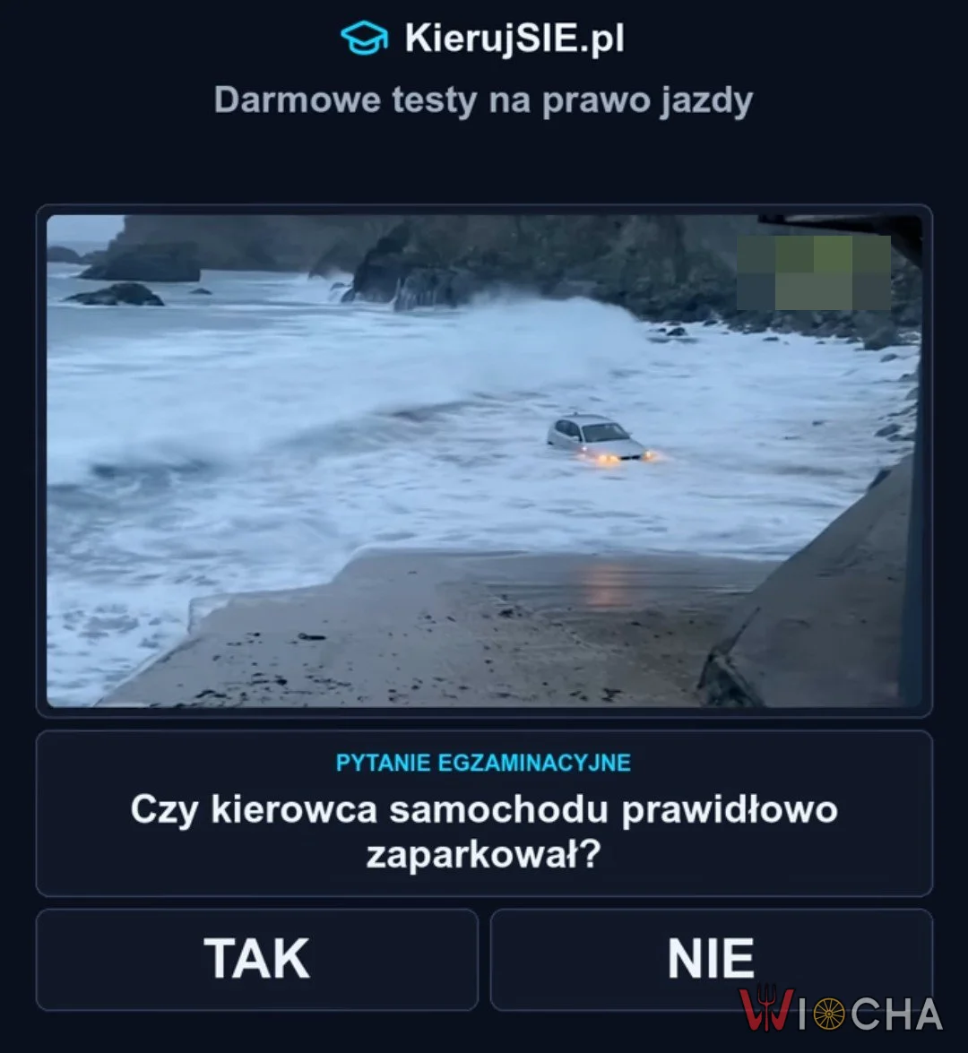 Czy prawidłowo zaparkował?