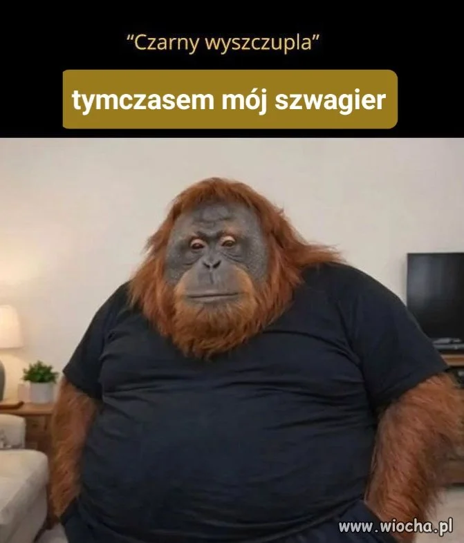 Każdy takiego szwagra w rodzinie ma