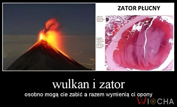 Rebus słowny