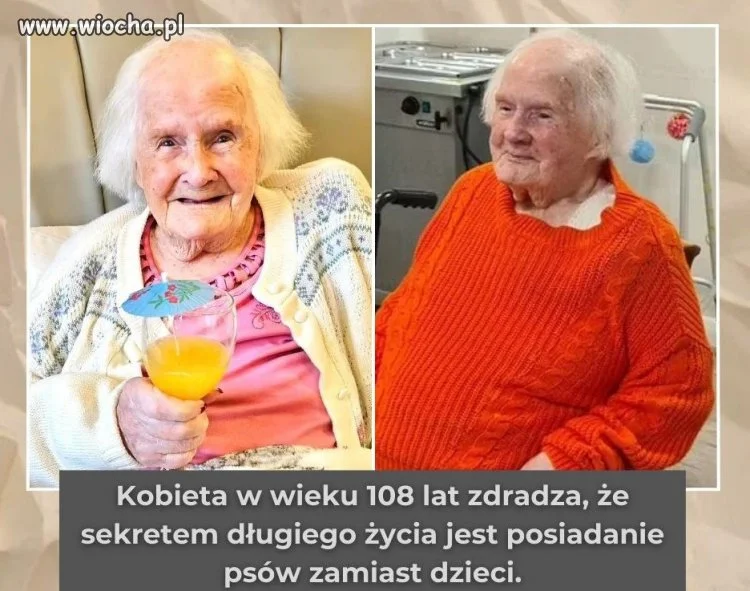 Piecko już kiedyś było modne