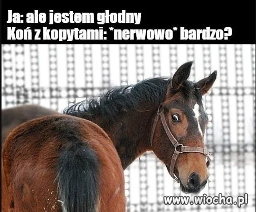 Coś ty powiedział?