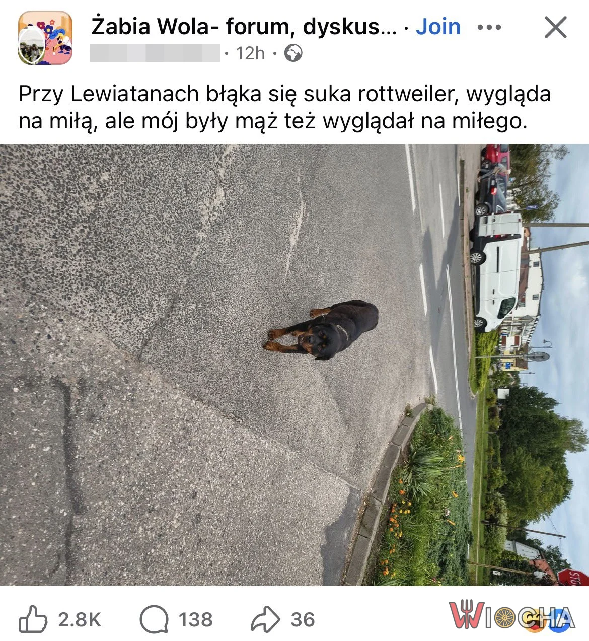 Mąż też wyglądał na miłego
