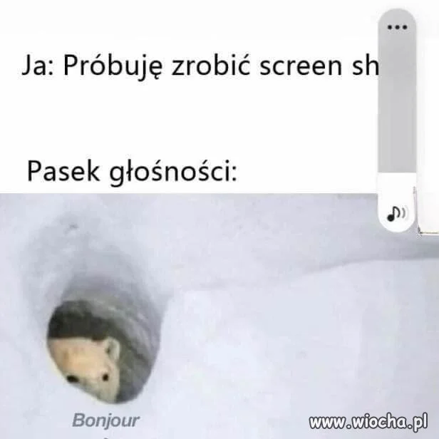 Za każdym razem to samo