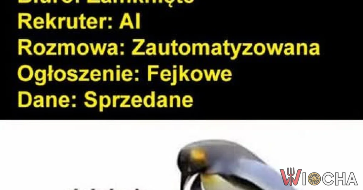 Witam w naszych czasach
