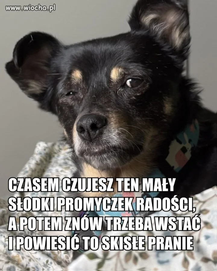 Czasem czujesz się dobrze