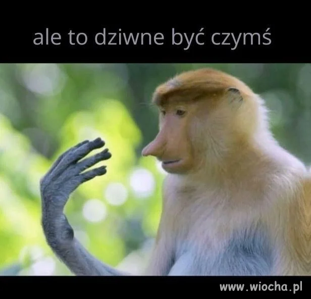 Czy to wszystko jest prawdziwe?
